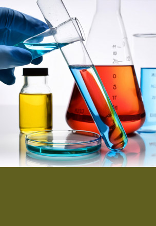 DR FORTUNE TRADING CO., LTD.